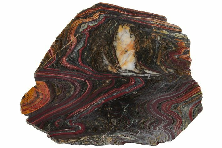 Polished Tiger Iron Stromatolite Slab - Billion Years #221795